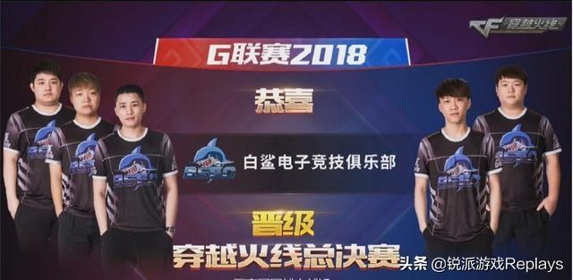 媒体评价他